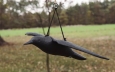 Відлякувач птахів – 61 / 44 / 13 см Ворон у польоті CTRL-BR102