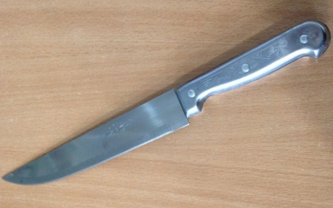 Нож кухонный металлическая ручка, большой 31,5см 4-8 407